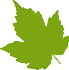  leaf